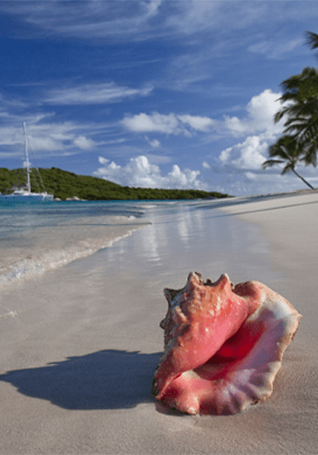 Дополнительные услуги